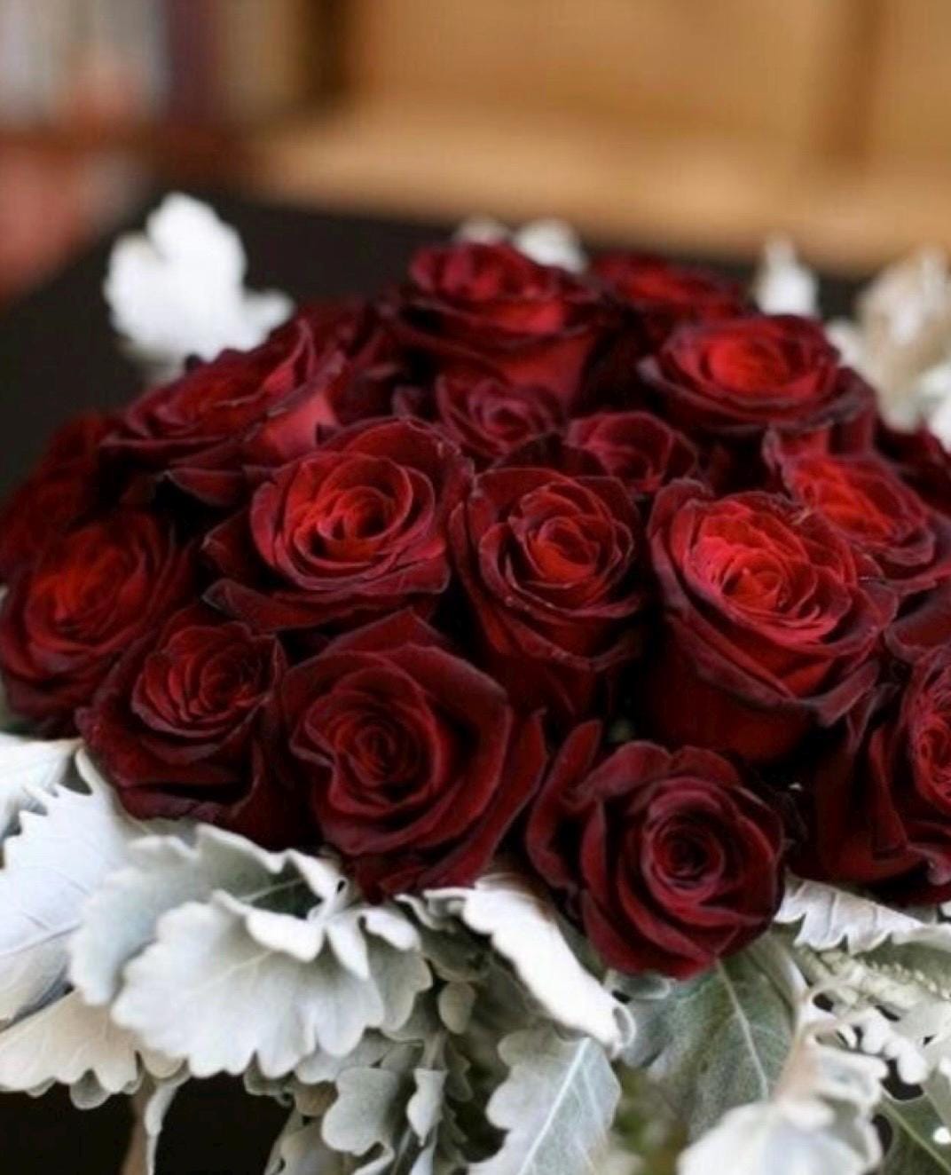 Baccara Rose, a deep rich dark bright red DK and fingering (Copy)