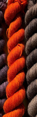 Saffron spice, orange and spicy