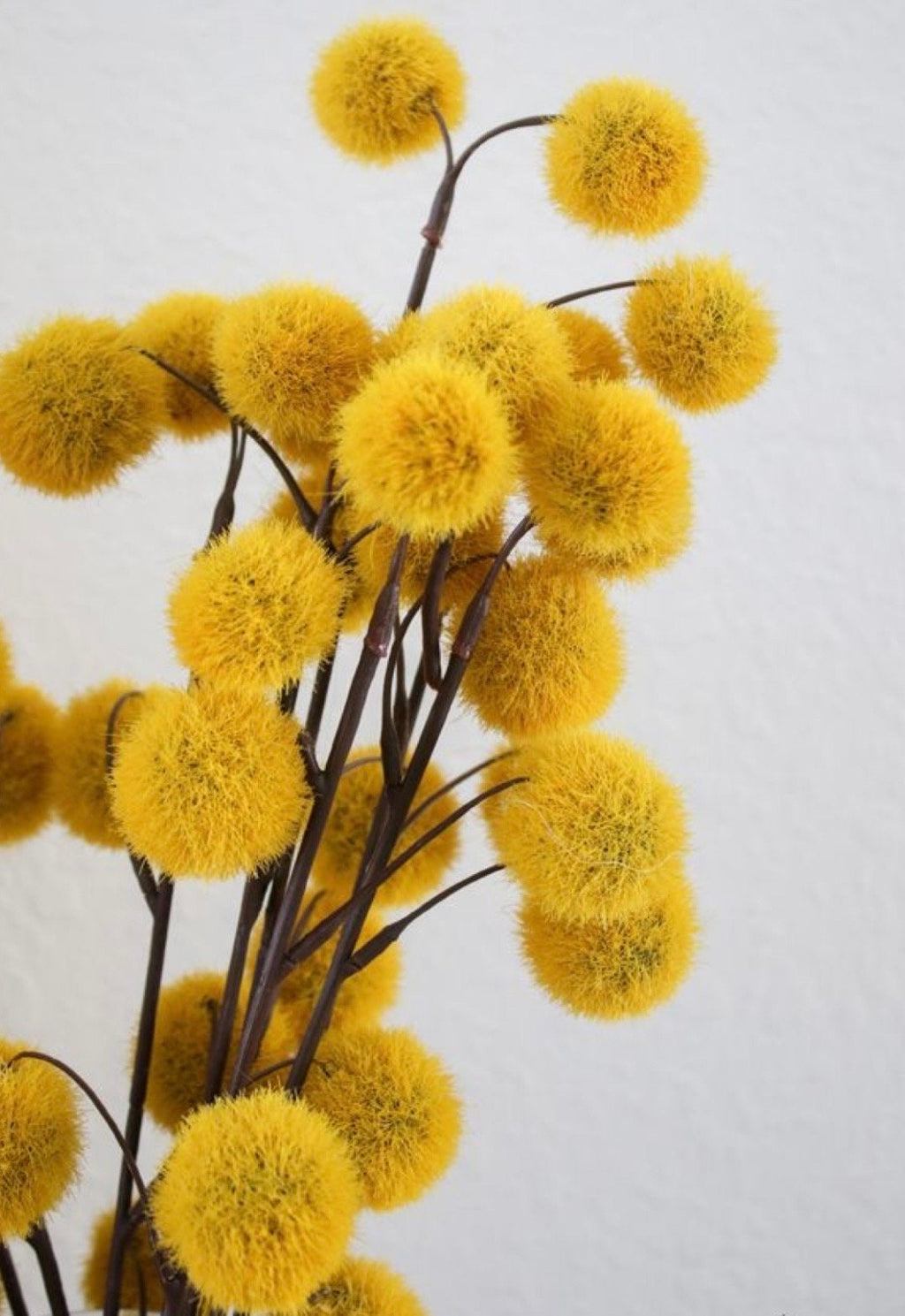 Honey Mustard, part of “Earth Tone Series”, DK and fingering