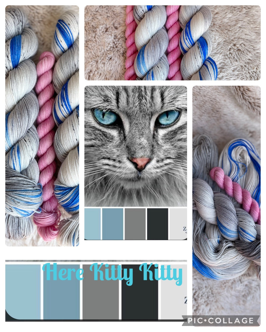 Here Kitty Kitty, Gray, bright blue superwash merino wool