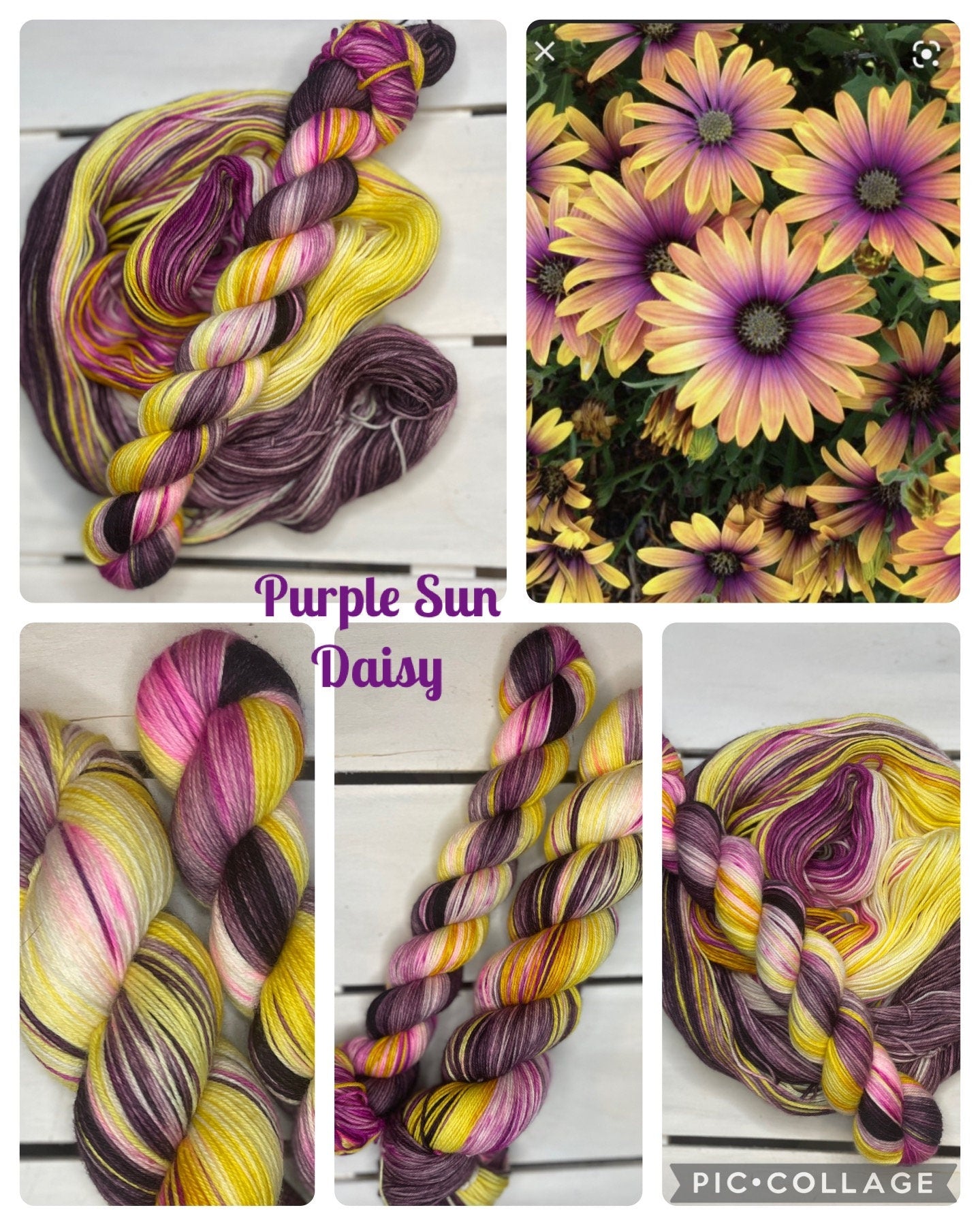 Purple Sun Daisy, DK, purple, yellow, pink superwash merino wool